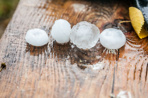 Large hailstones resting on wet wooden surface beside fallen leaf