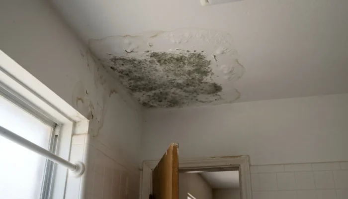 mold growth and water damage on interior ceiling of residential bathroom